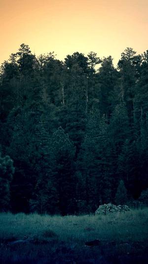 带你吃瓜呀!截图3